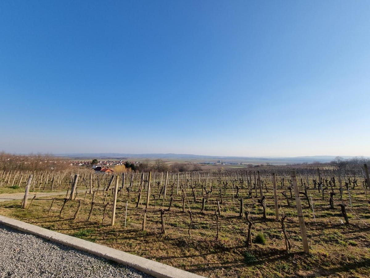 Kuca Za Odmor Baron Villa Kutjevo Buitenkant foto