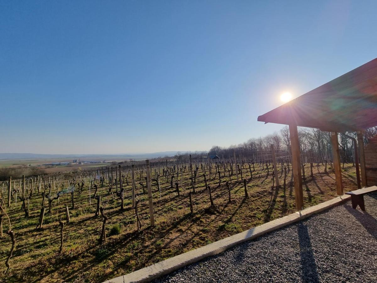 Kuca Za Odmor Baron Villa Kutjevo Buitenkant foto