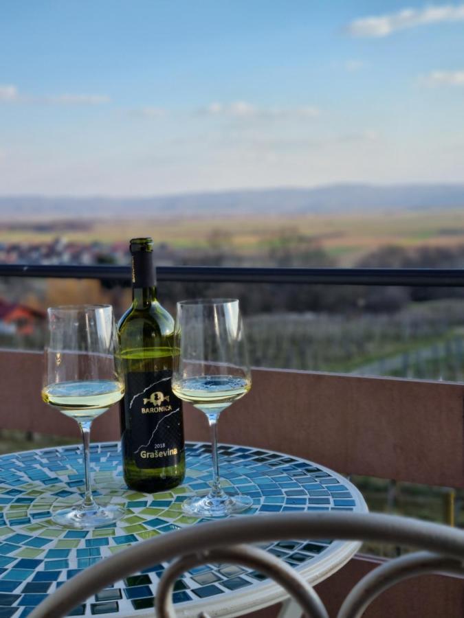 Kuca Za Odmor Baron Villa Kutjevo Buitenkant foto