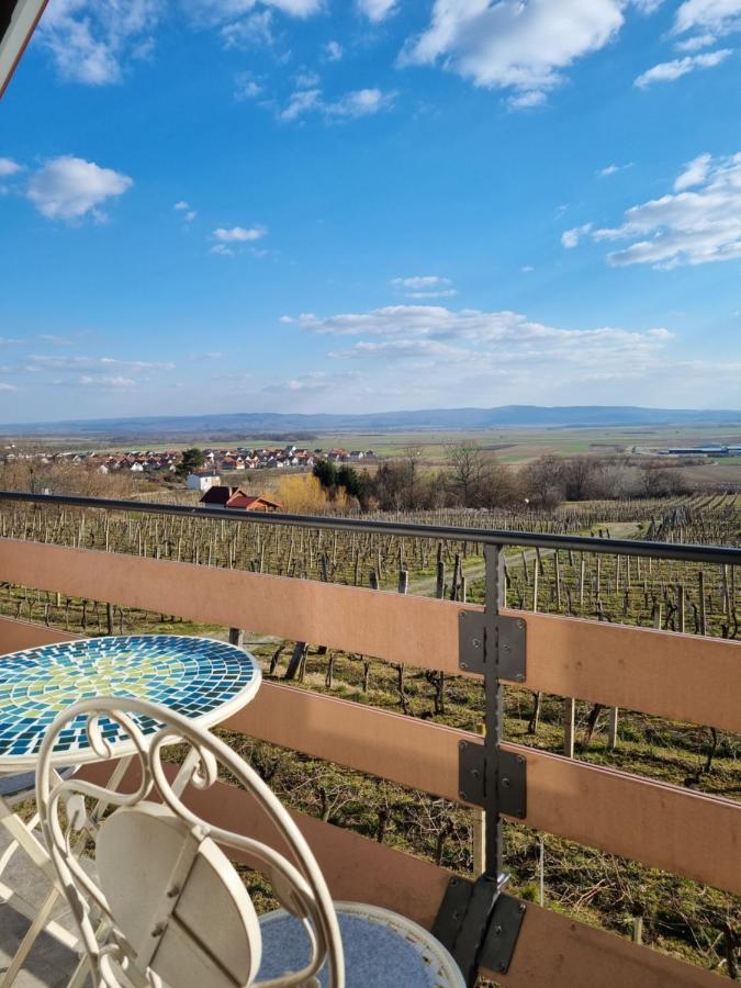 Kuca Za Odmor Baron Villa Kutjevo Buitenkant foto