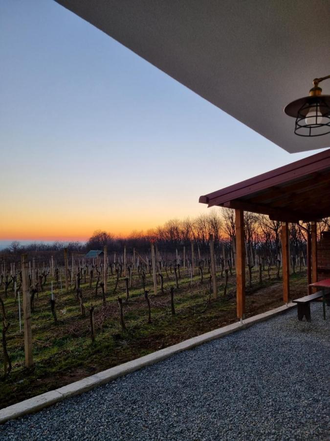 Kuca Za Odmor Baron Villa Kutjevo Buitenkant foto