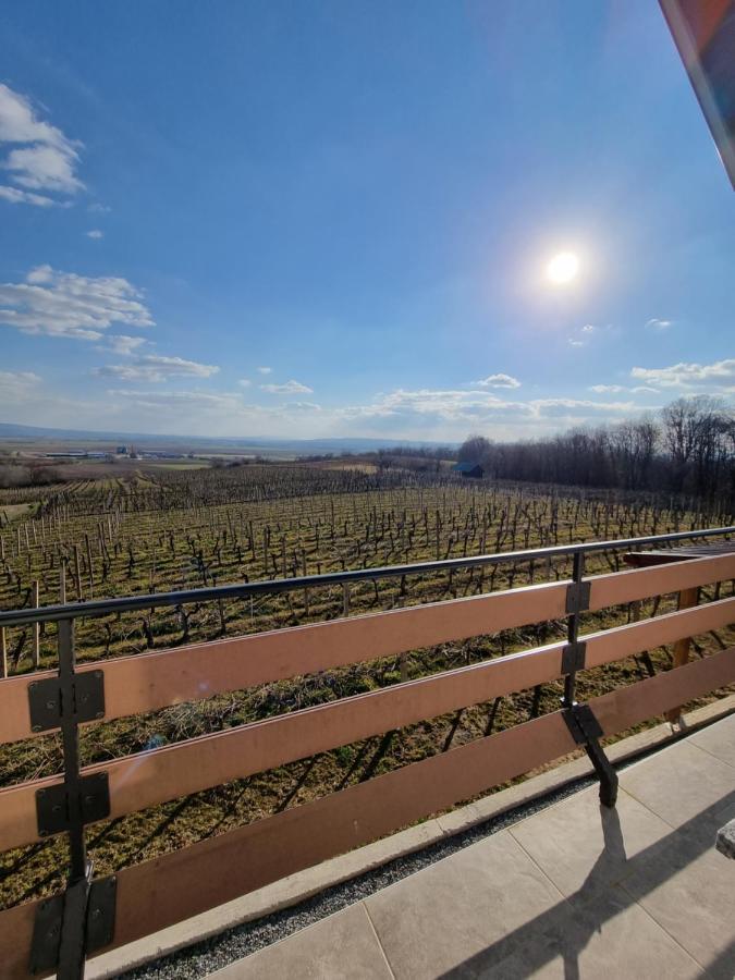 Kuca Za Odmor Baron Villa Kutjevo Buitenkant foto