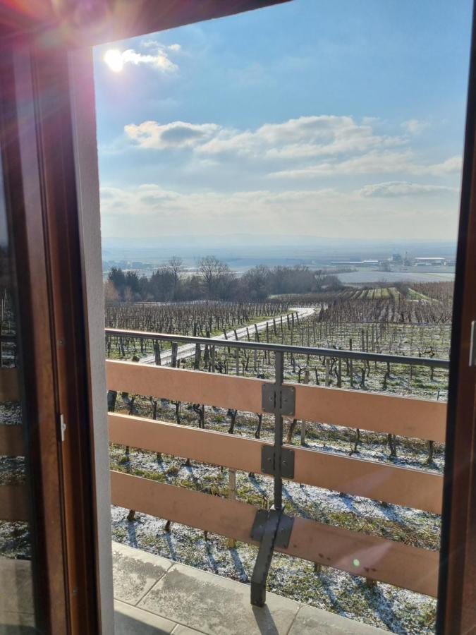 Kuca Za Odmor Baron Villa Kutjevo Buitenkant foto