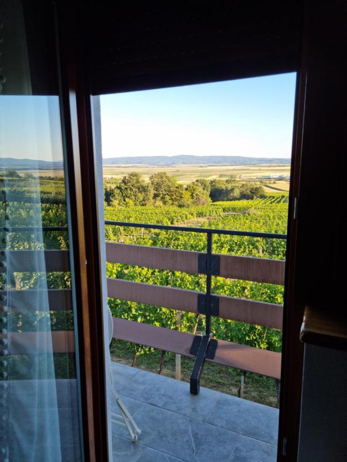 Kuca Za Odmor Baron Villa Kutjevo Buitenkant foto