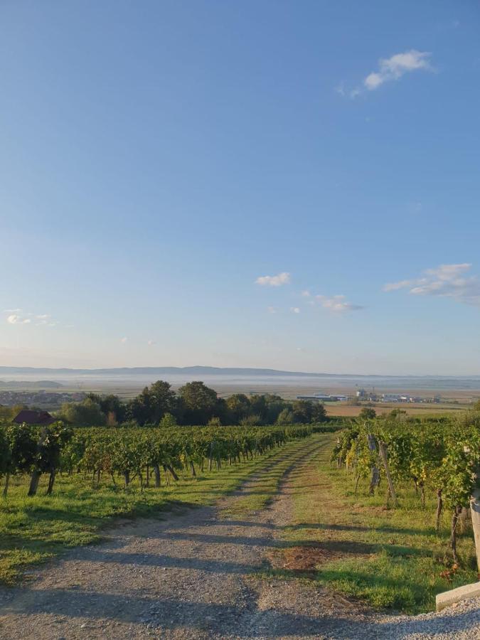 Kuca Za Odmor Baron Villa Kutjevo Buitenkant foto