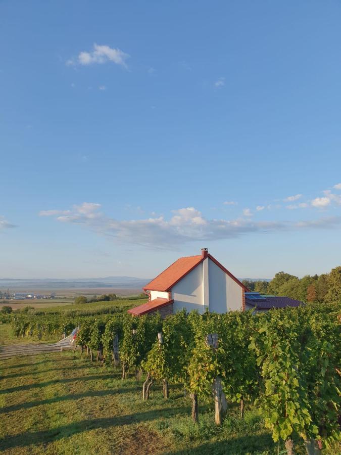 Kuca Za Odmor Baron Villa Kutjevo Buitenkant foto