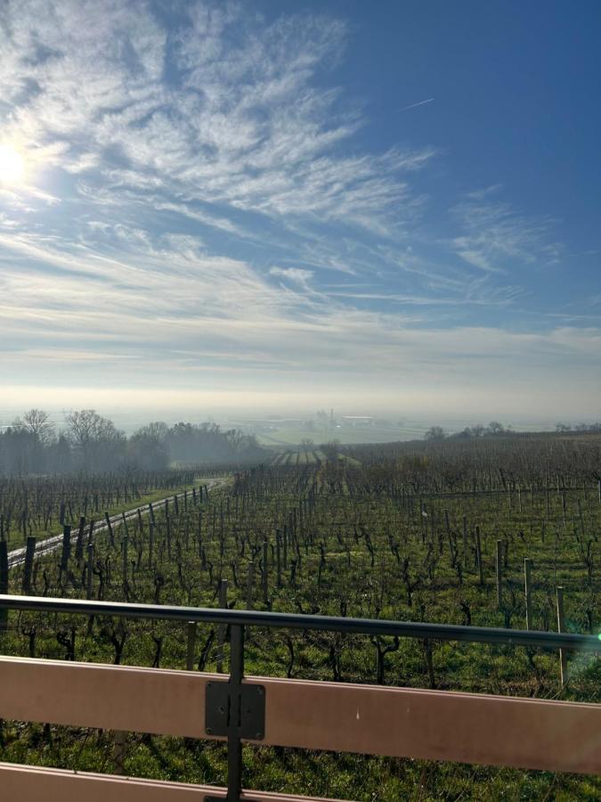Kuca Za Odmor Baron Villa Kutjevo Buitenkant foto