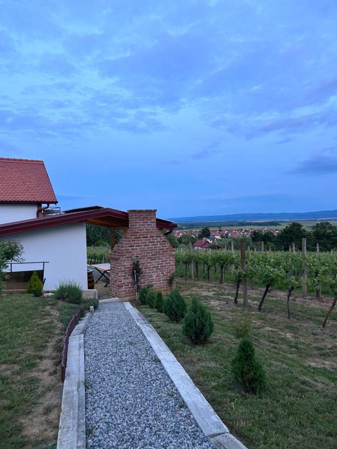 Kuca Za Odmor Baron Villa Kutjevo Buitenkant foto